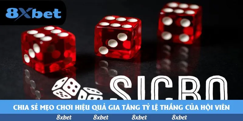 Tin Bóng Đá Mới Nhất