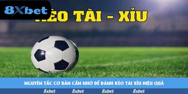 Tin tức bóng đá Việt Nam