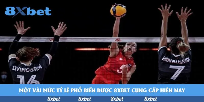 Lịch Thi Đấu Đội Tuyển Việt Nam 2026: Những Trận Đấu Quan Trọng Nhất