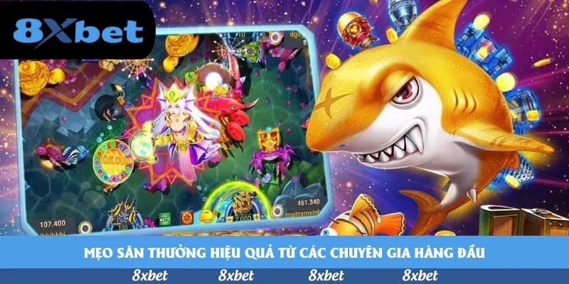 vnfootball - soi kèo bóng đá chuẩn nhất
