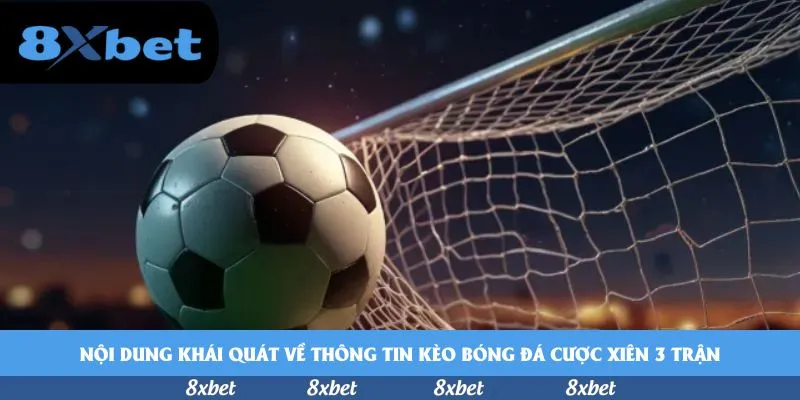 vnfootball - link xem trực tiếp bóng đá keo nha cai