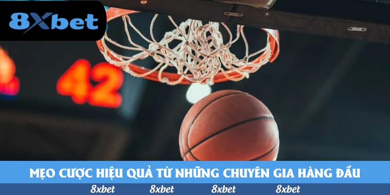 vnfootball - giày đá bóng sân nhân tạo