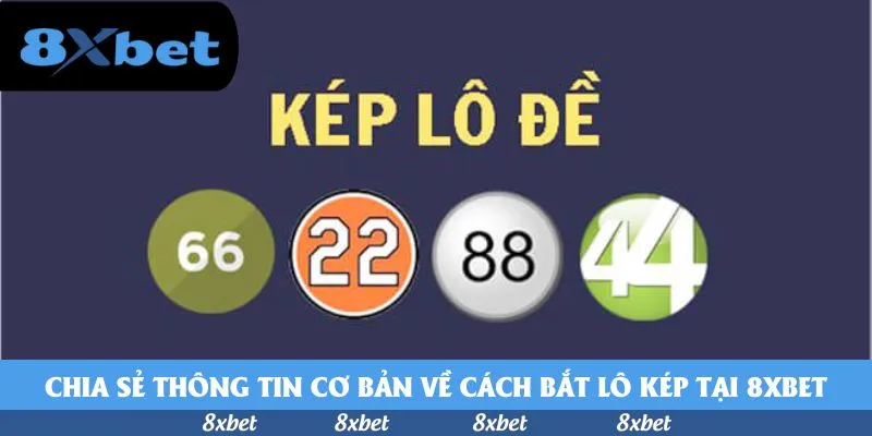vnfootball - dự đoán world cup 2026
