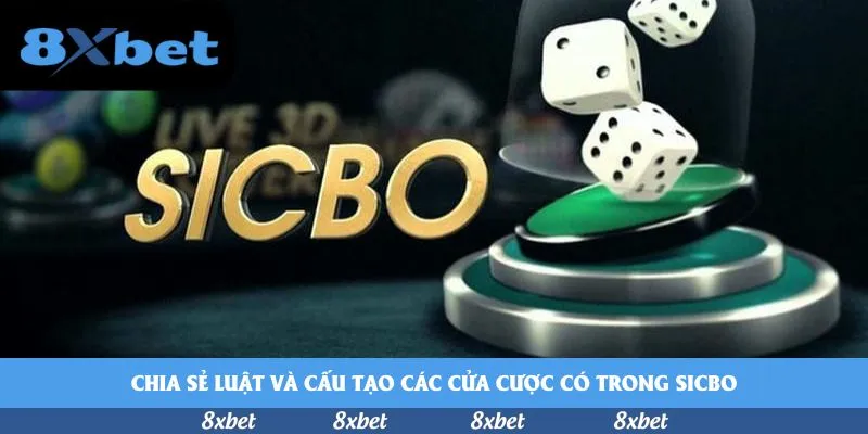 vnfootball - quần bóng đá