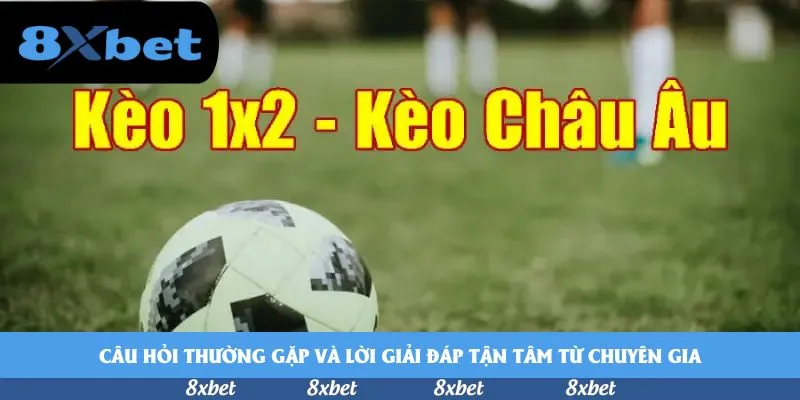 vnfootball - shbet tặng tiền cược miễn phí