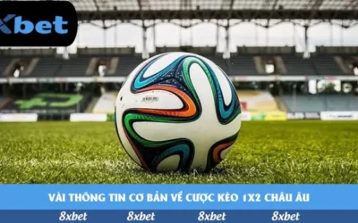 Phân Tích Chi Tiết Về Shbet Tặng Tiền Cược Miễn Phí