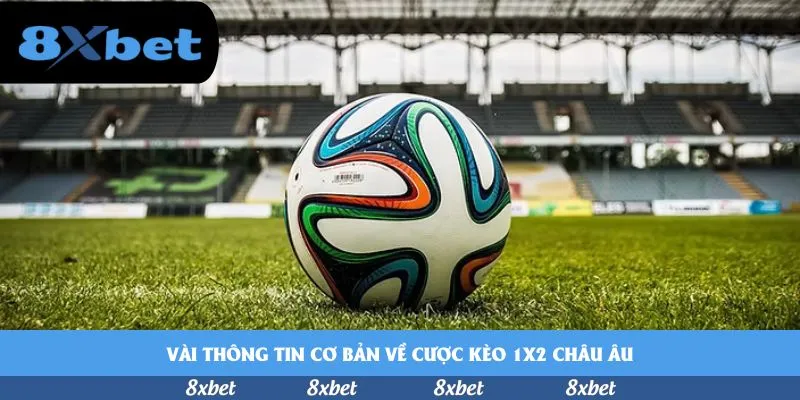 vnfootball - shbet tặng tiền cược miễn phí