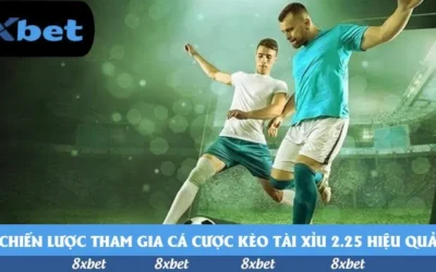 Đánh giá toàn diện trải nghiệm xem bóng đá Euro tại Việt Nam