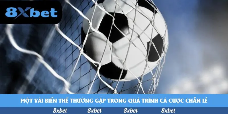 vnfootball - xem trực tuyến bóng đá world cup