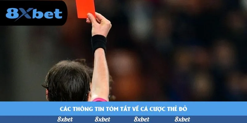 vnfootball - các cầu thủ bóng đá nổi tiếng