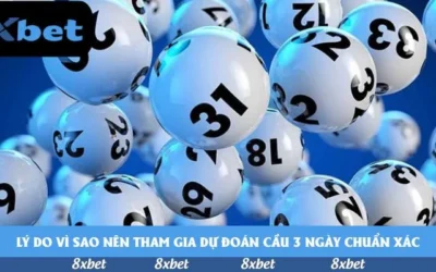 Chiến lược hiệu quả cùng câu lạc bộ bóng đá Charlotte
