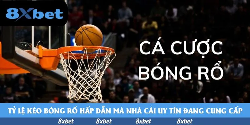 vnfootball - kèo nhà cái bóng đá