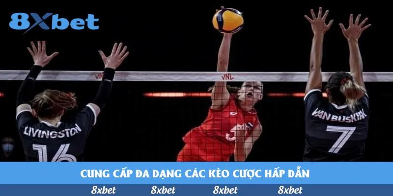 vnfootball - chuyển nhượng bóng đá anh