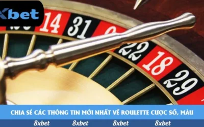 Bí mật không ngờ về tải Manclub mà bạn chưa biết