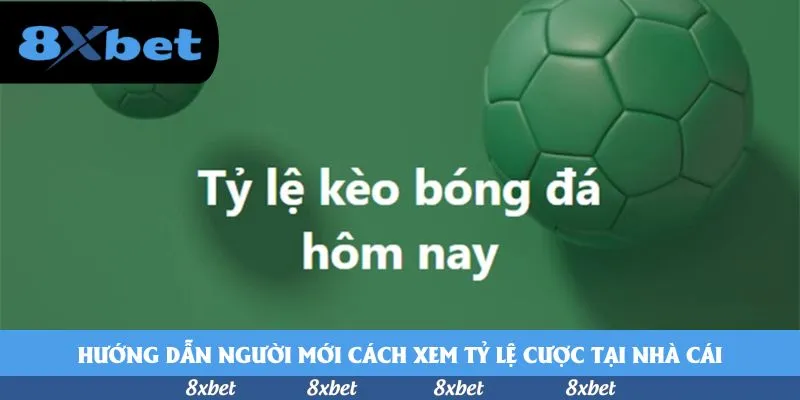 vnfootball - kubet live casino