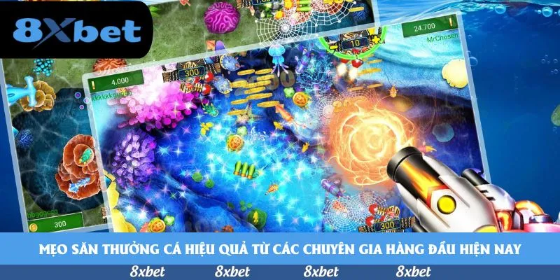 vnfootball - 1xbet game bài