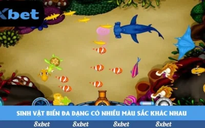 Đánh giá trực tiếp bóng đá hôm nay AFF Cup: Có đáng xem không?