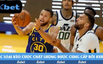 Trải nghiệm xem tỷ số bóng đá đêm nay: Cảm xúc khó quên