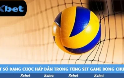 Mới nhất 2025: Lịch thi đấu Việt Nam đá bóng chi tiết