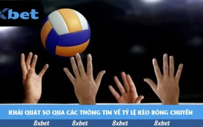 Đánh giá toàn diện: Xem Bảng Xếp Hạng Bóng Đá Việt Nam Có Đáng Tin?