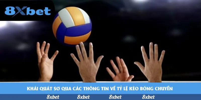 vnfootball - xem bảng xếp hạng bóng đá việt nam